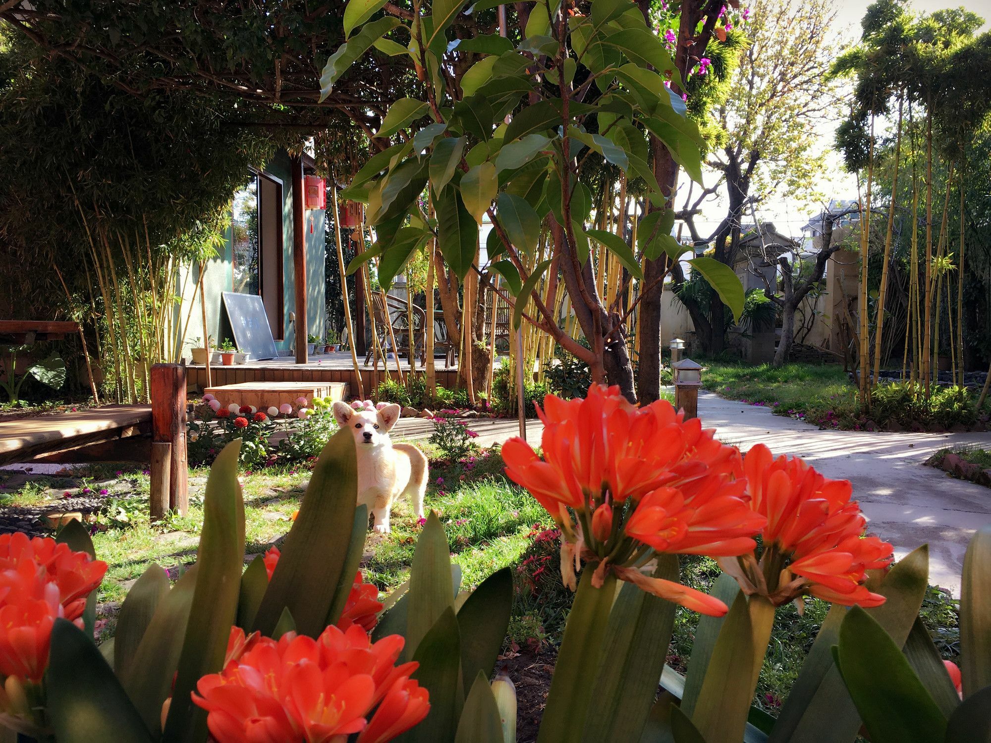 Ooh Countryard Inn Dali  Exterior photo
